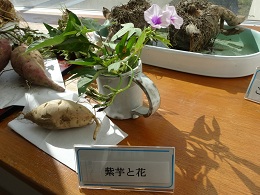 紫芋と花.jpg