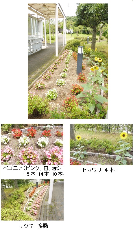 20210709綺麗な庭園②.jpg