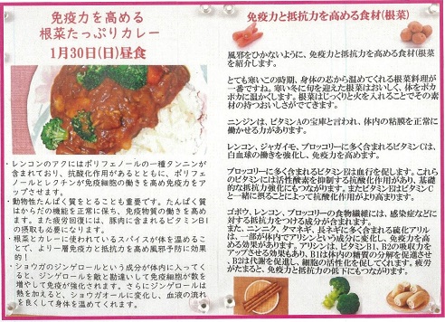 ①根菜カレー 掲示板より ブログ(40サイズ).jpg