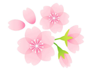 桜.pngのサムネール画像