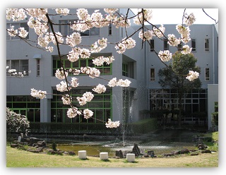 桜と噴水.jpg